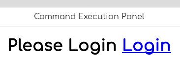 Command Execution Panel